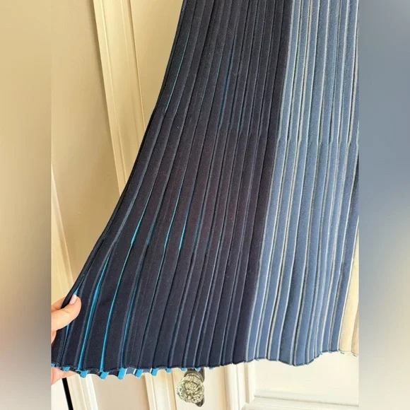 COS Blue, Purple, and Tan Pleated Maxi Skirt - Picture 7 of 9